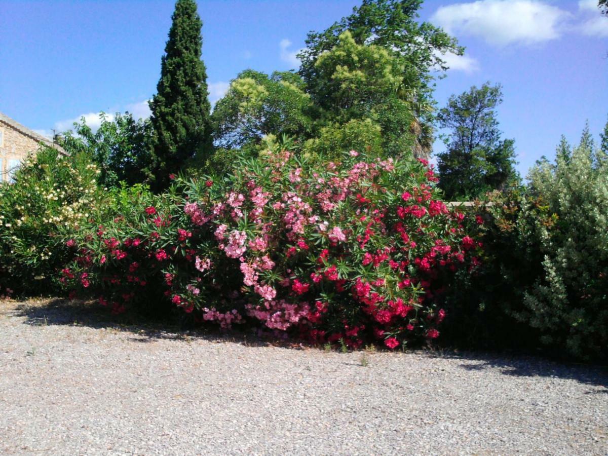 Villa Aigues Vives Boutenac Экстерьер фото